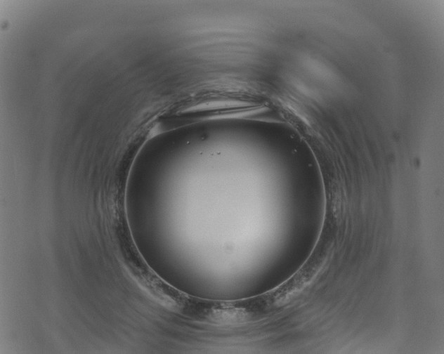 X0000070880455200606231347