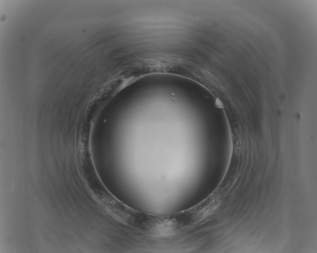 X0000070880456200606231347