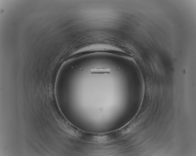 X0000070880457200606231347