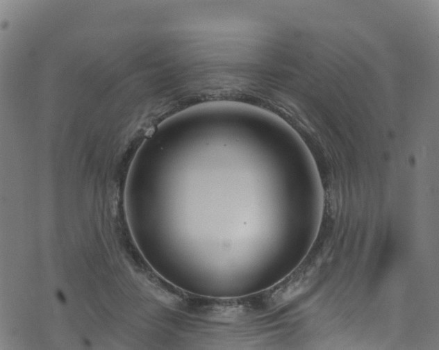 X0000070880458200606231347