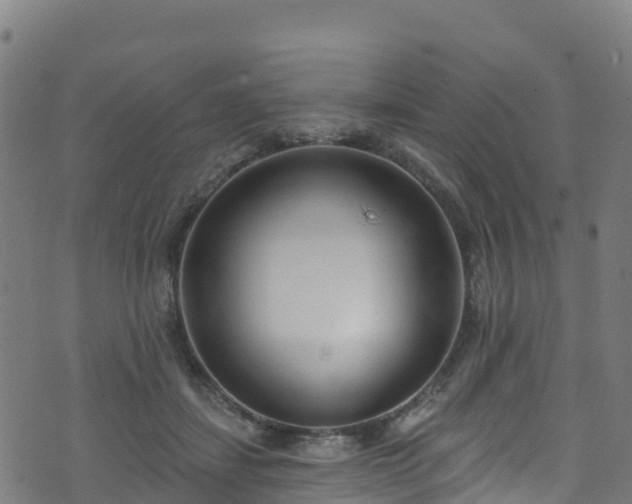 X0000070880459200606231347