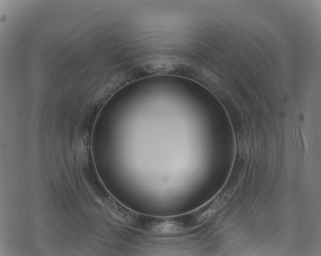 X0000070880460200606231347