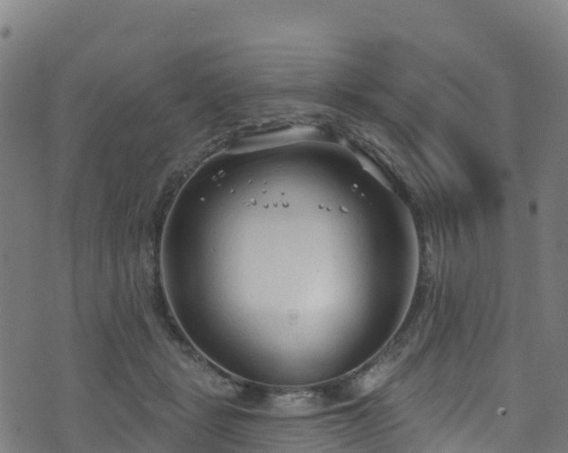 X0000070880461200606231347