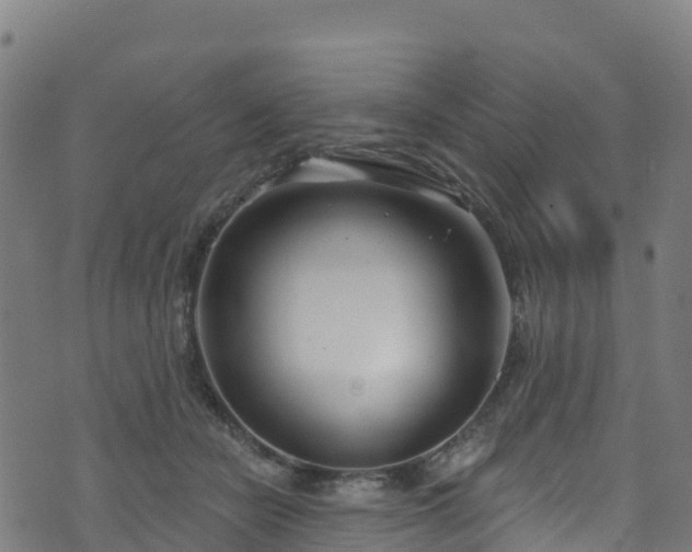 X0000070880462200606231347