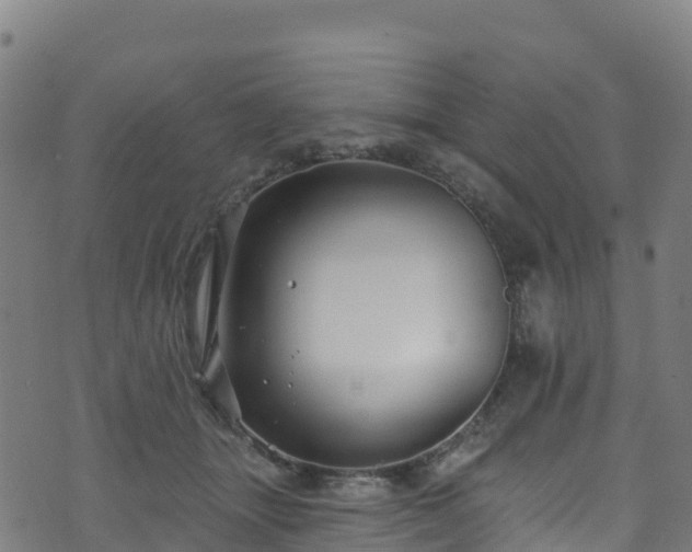 X0000070880463200606231347