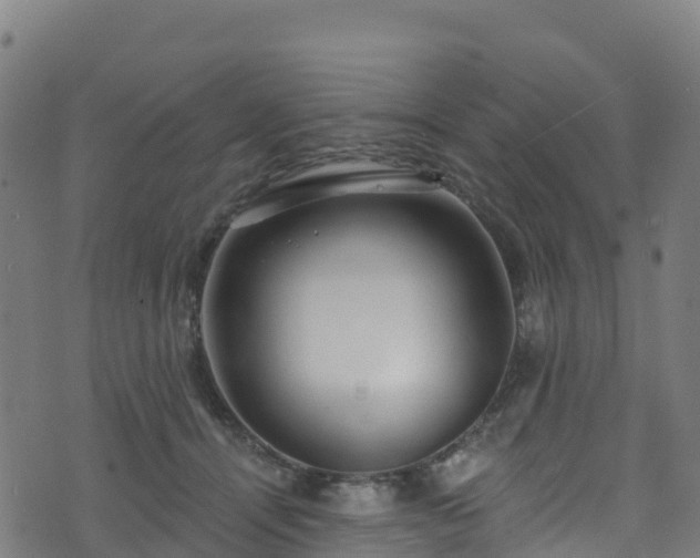 X0000070880464200606231347