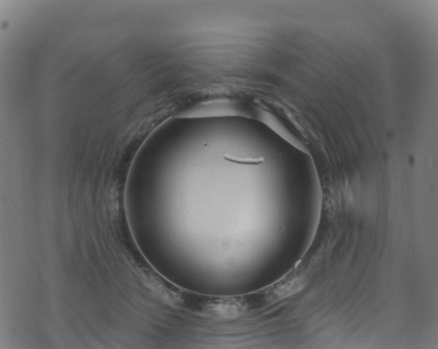 X0000070880466200606231347