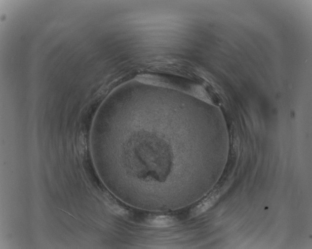 X0000070880467200606231347