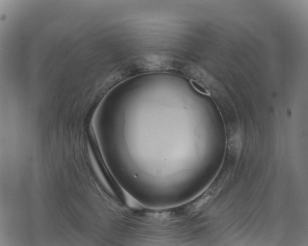 X0000070880469200606231347