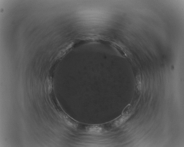 X0000070880471200606231347