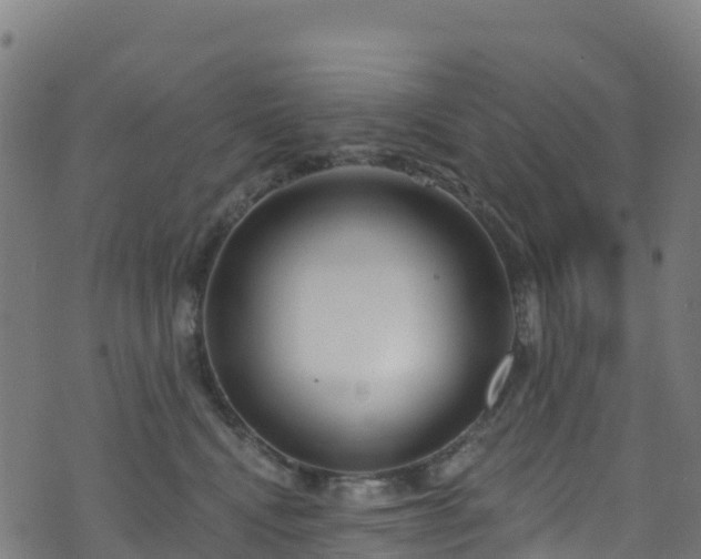 X0000070880472200606231347