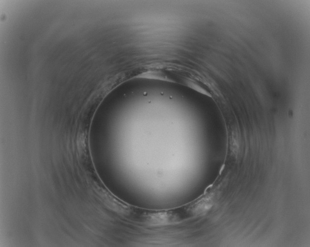 X0000070880473200606231347