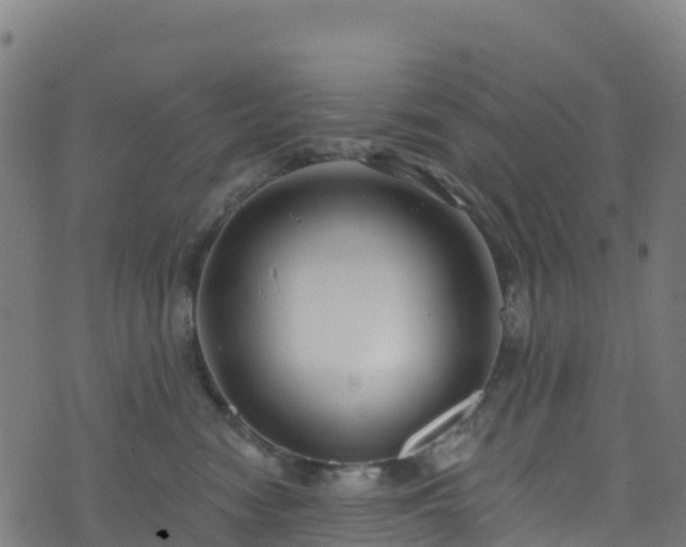 X0000070880474200606231347