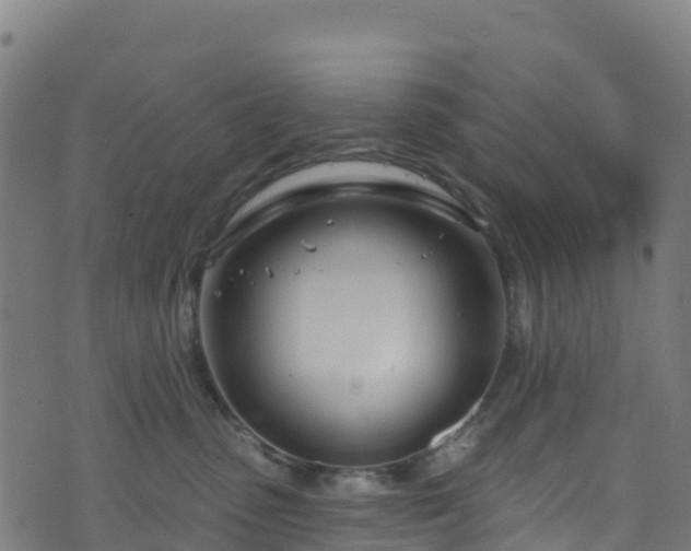 X0000070880475200606231347