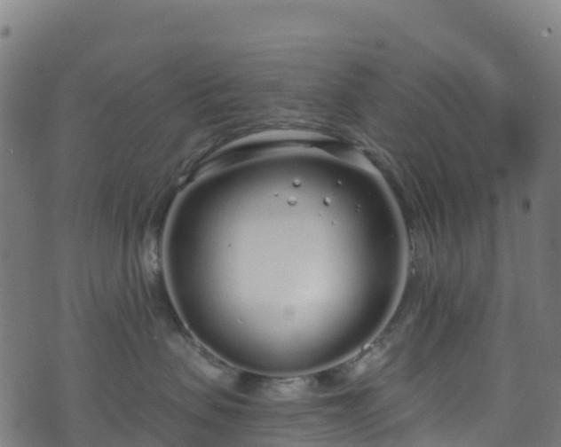 X0000070880479200606231347