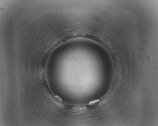 X0000070880480200606231347