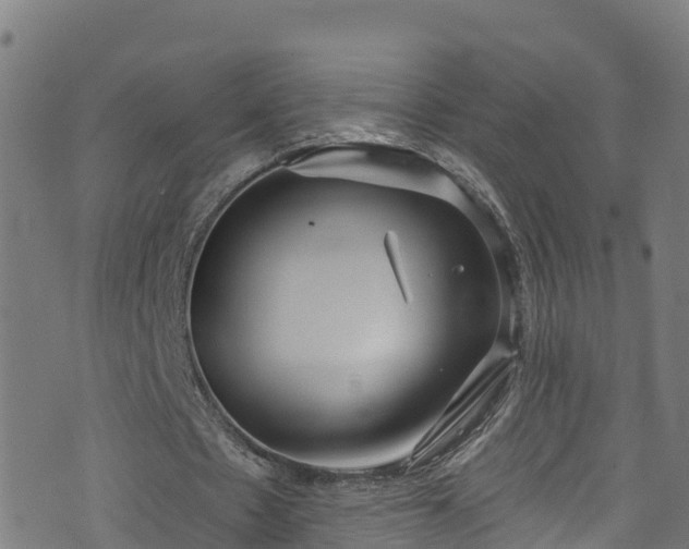 X0000070880481200606231346