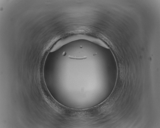 X0000070880482200606231346