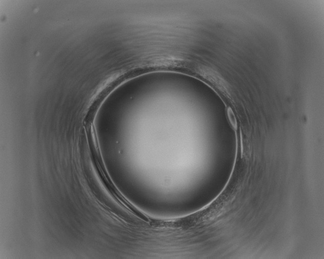 X0000070880483200606231346