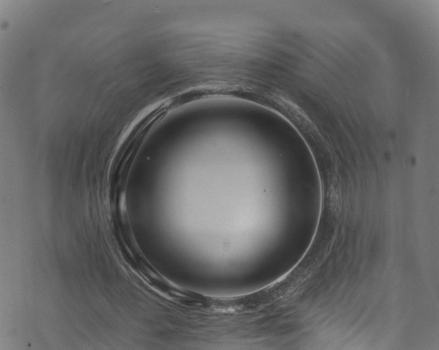 X0000070880484200606231346