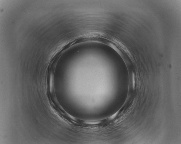 X0000070880485200606231346