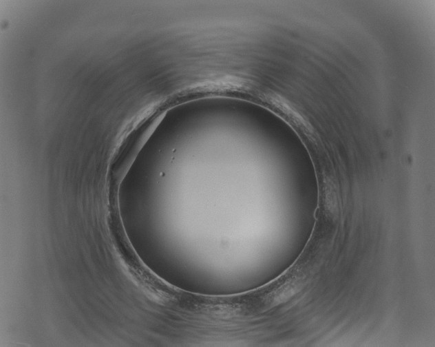 X0000070880486200606231346