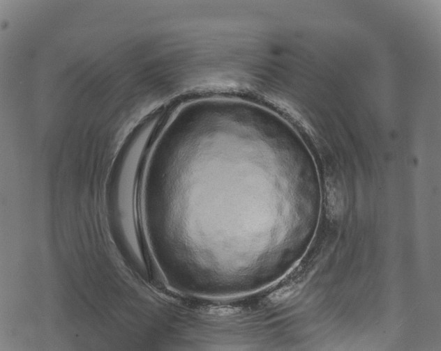 X0000070880487200606231346