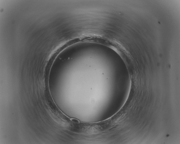 X0000070880488200606231346