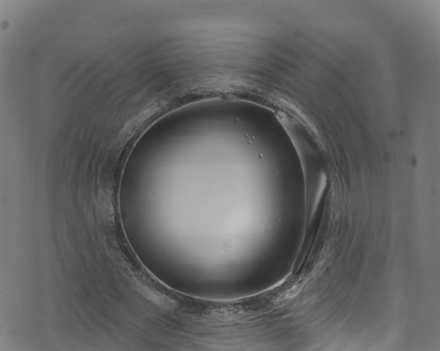 X0000070880489200606231346