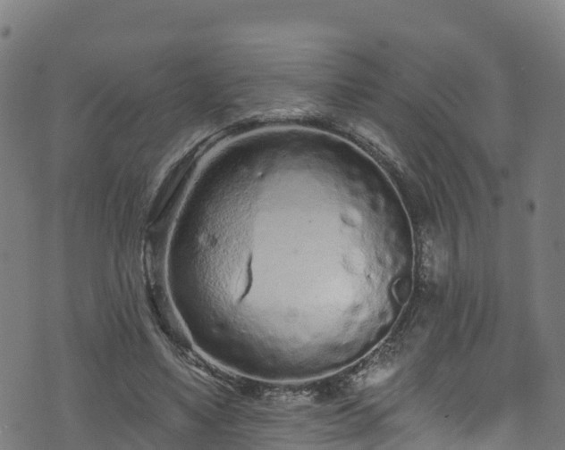 X0000070880491200606231346