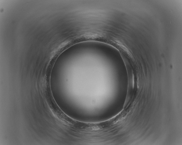 X0000070880492200606231346