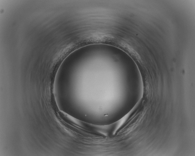 X0000070880493200606231346