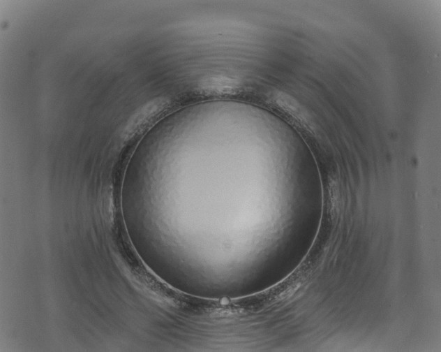 X0000070880494200606231346