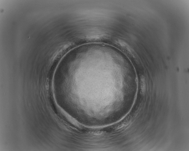 X0000070880495200606231346