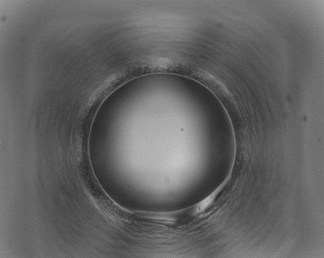 X0000070880496200606231346