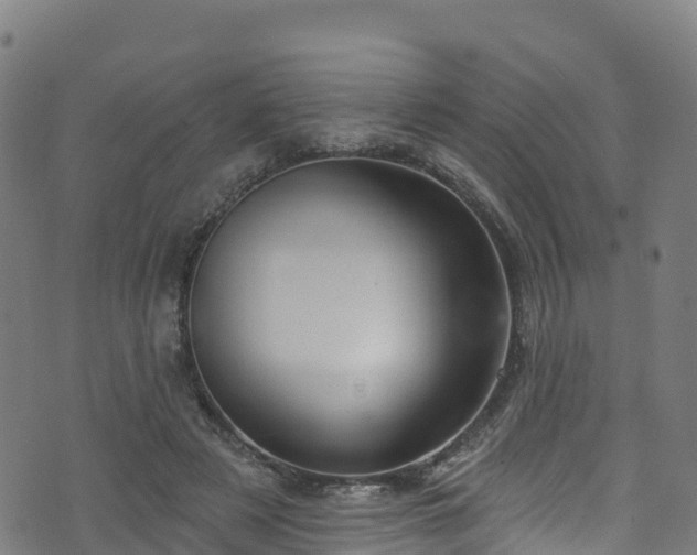 X0000070880497200606231346