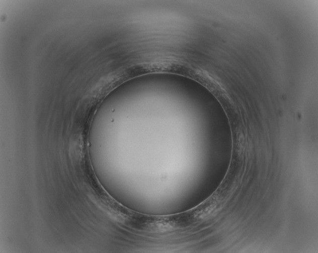 X0000070880498200606231346