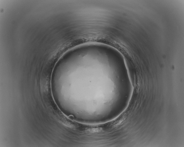 X0000070880499200606231346