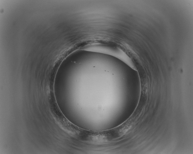 X0000070880500200606231346