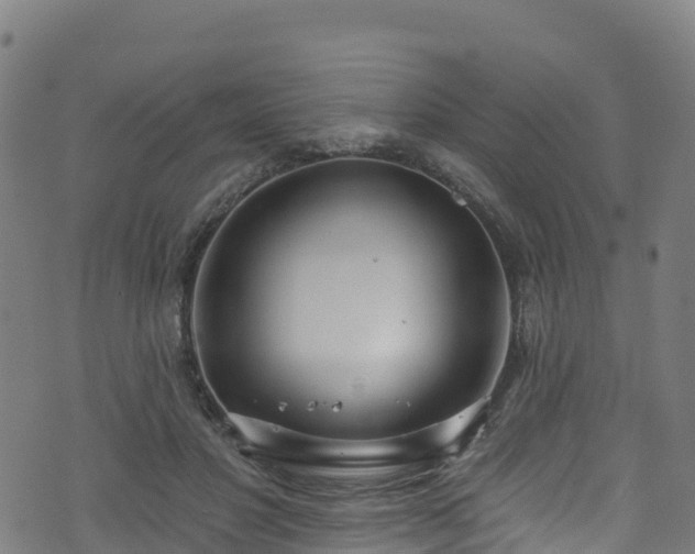 X0000070880501200606231346