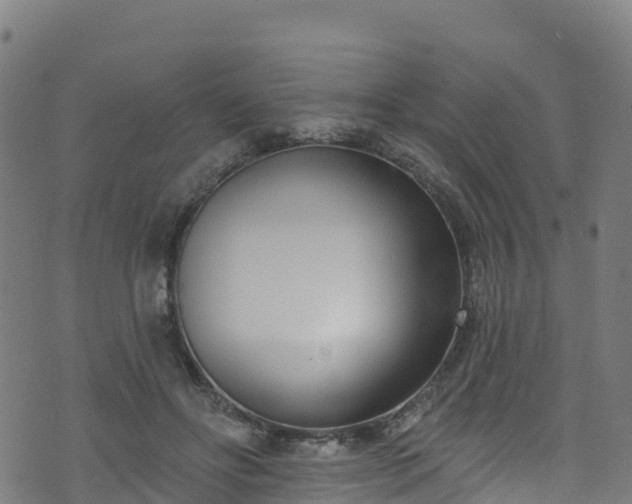 X0000070880502200606231346