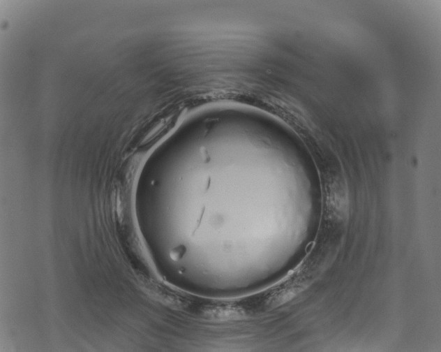 X0000070880503200606231346