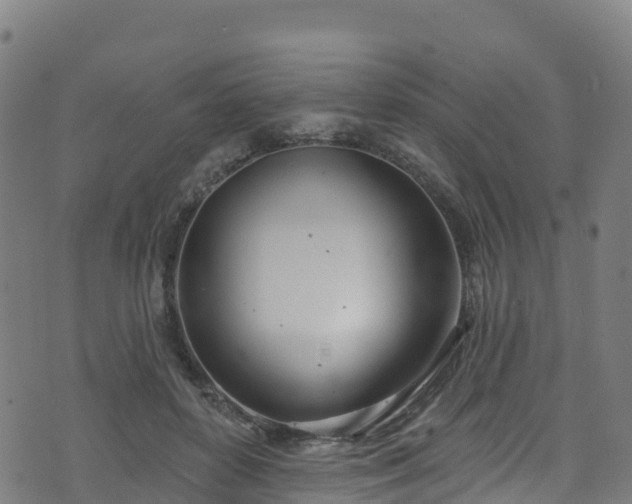 X0000070880504200606231346