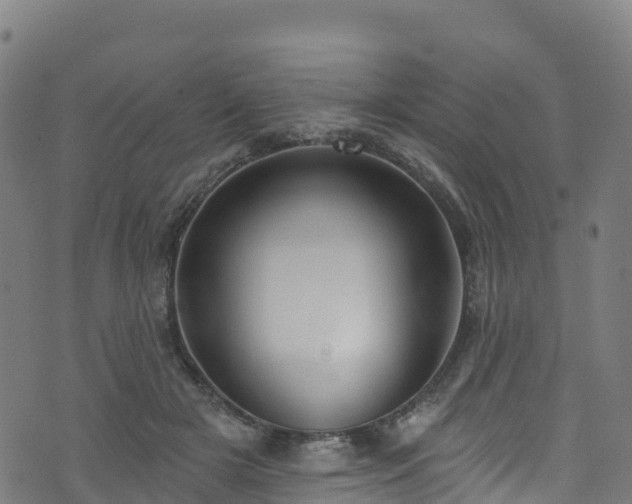 X0000070880505200606231346