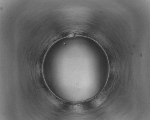 X0000070880506200606231346