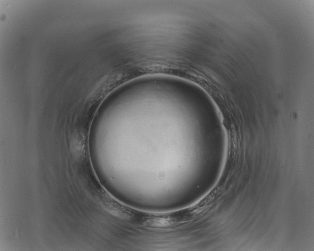 X0000070880507200606231346