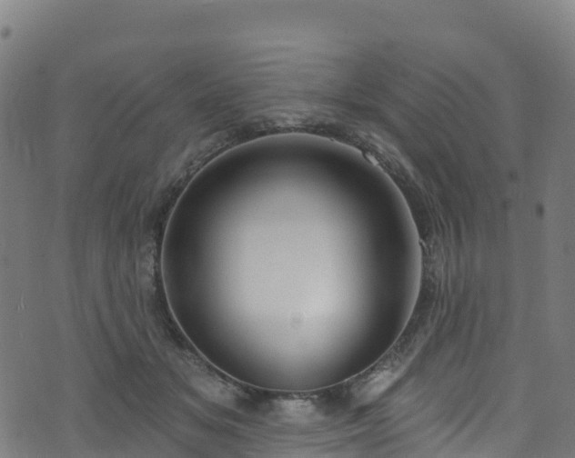 X0000070880509200606231346