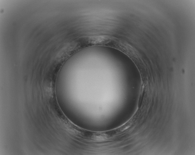 X0000070880510200606231346