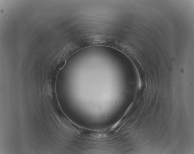 X0000070880512200606231346