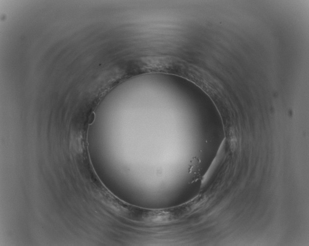 X0000070880514200606231346